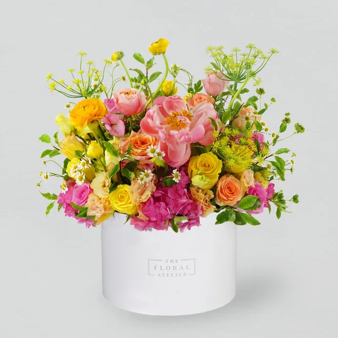Sunshine Box